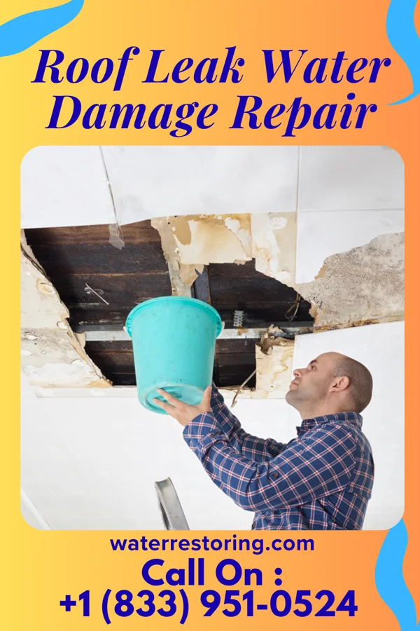Roof Leak Water Damage Repair in Mansfield, PA