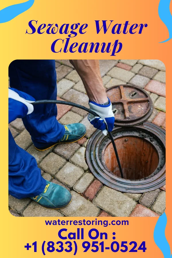Sewage Water Cleanup in Mansfield, PA