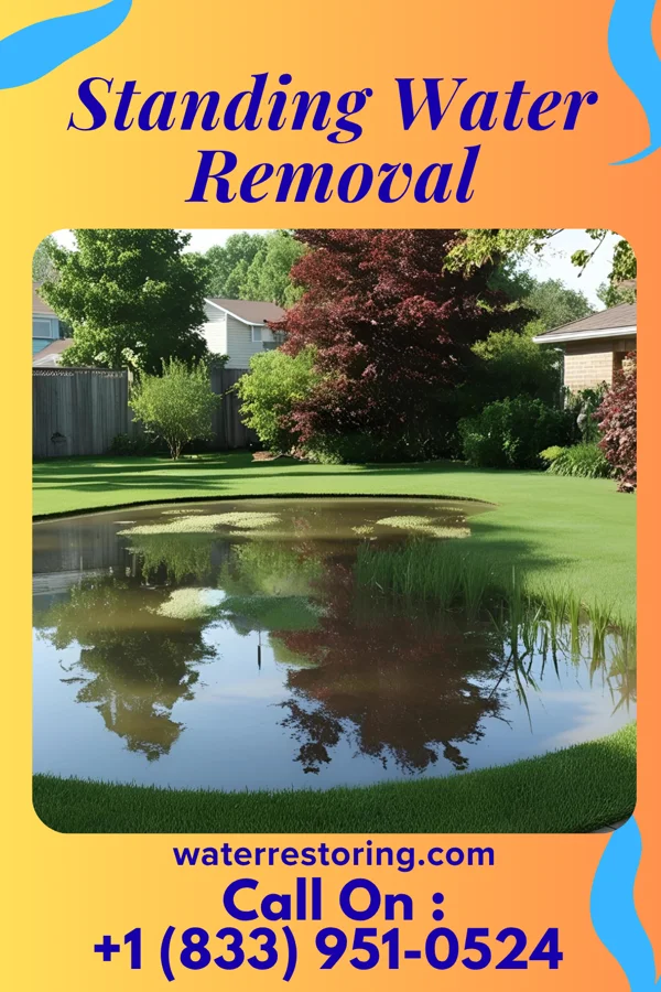 Standing Water Removal in Mansfield, PA